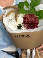 КОМПЛЕМЕЙШН — изображение 2